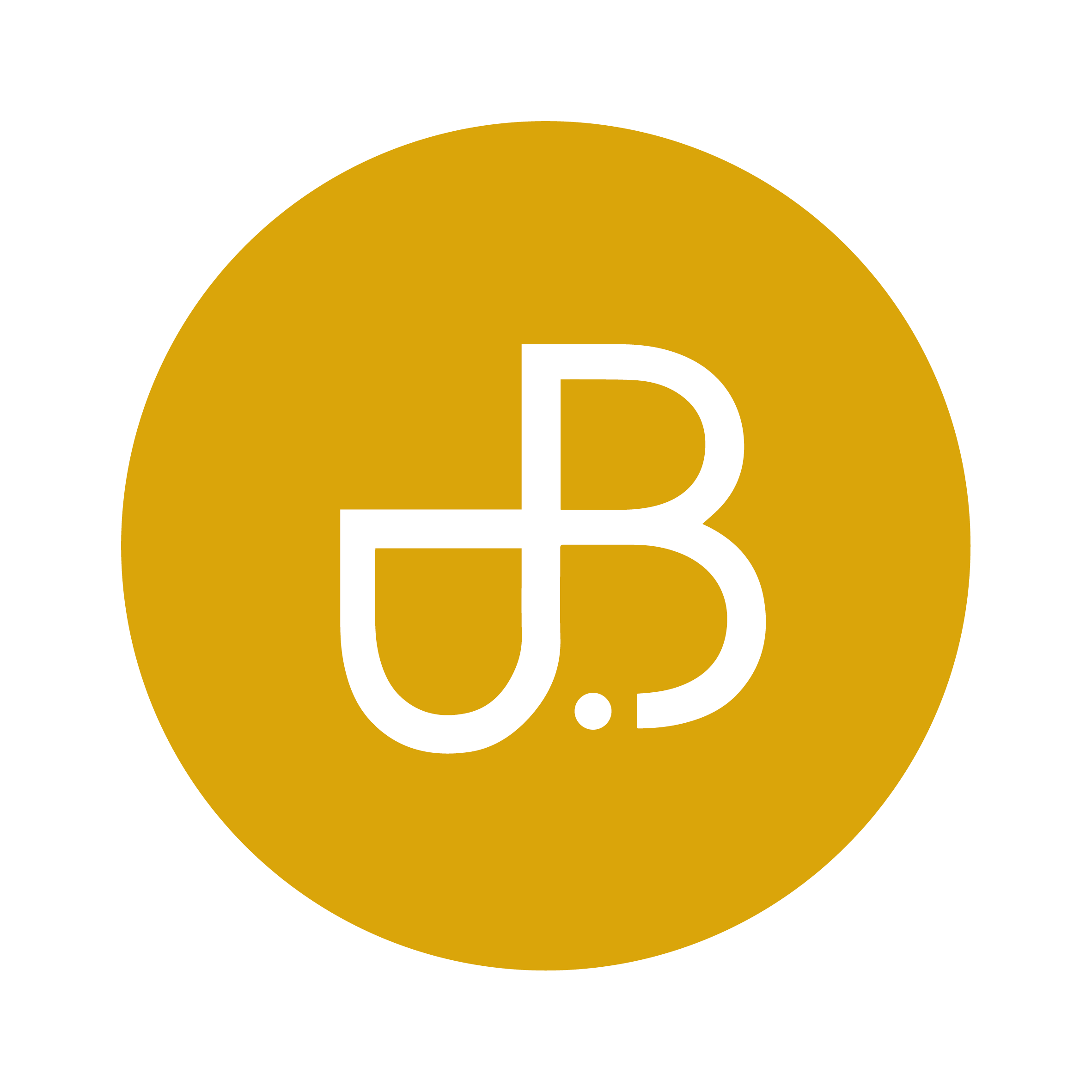 Logo-B-Partners